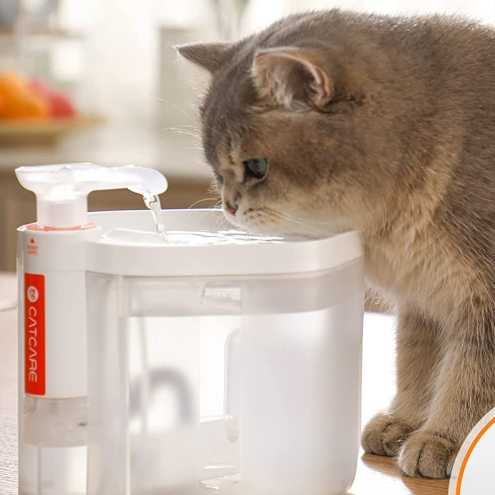 PetStream – Ultra-sauberer Trinkbrunnen für Haustiere